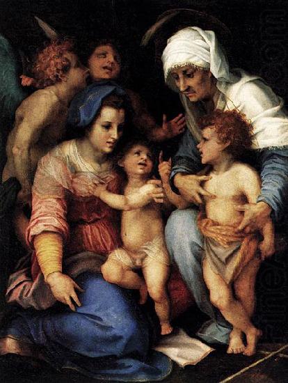 Andrea del Sarto Madonna and Child with St Elisabeth, the Infant St John, and Two Angels china oil painting image